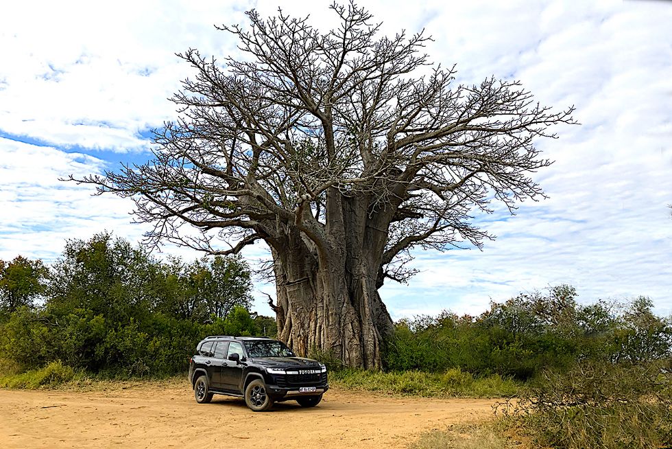 Toyota LC 300. King of Africa