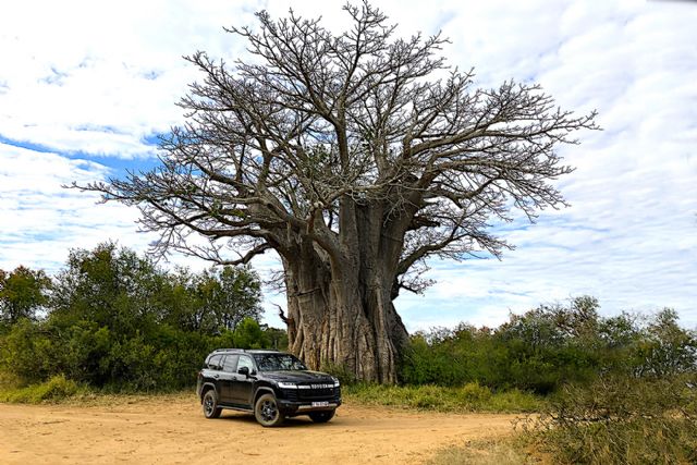 Toyota LC 300. King of Africa