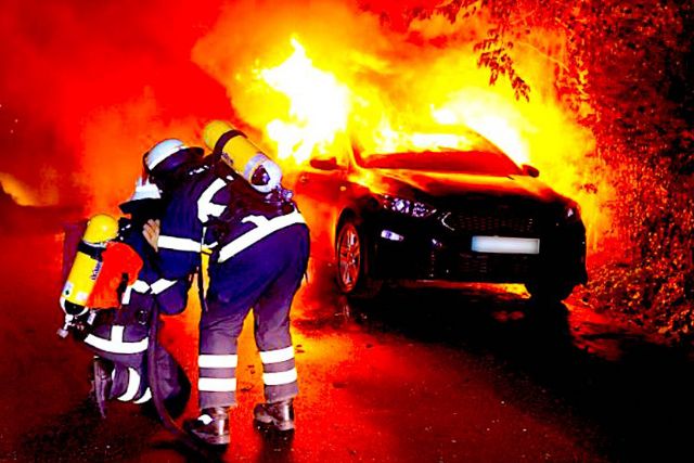 Electric Fire Ford