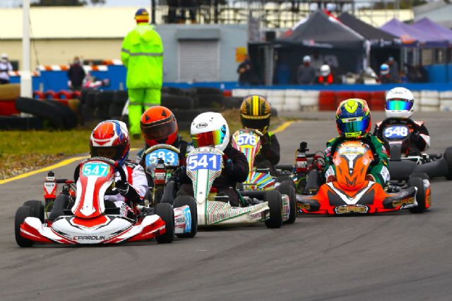 Mini Max d'Oliveira