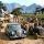 BUILT BY THE BUFFALO: MERCEDES-BENZ PLANTS ITS SA STAR