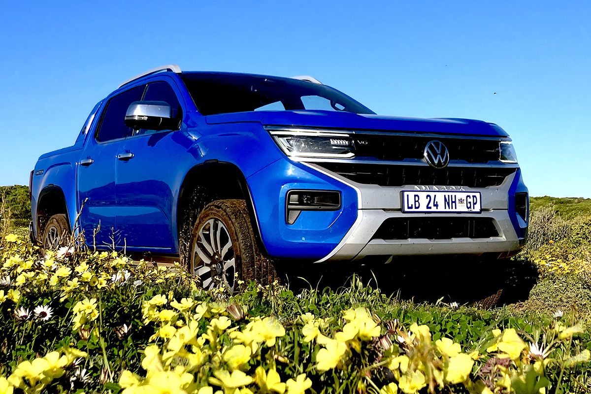 Amarok