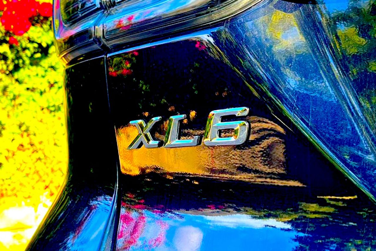 XL6